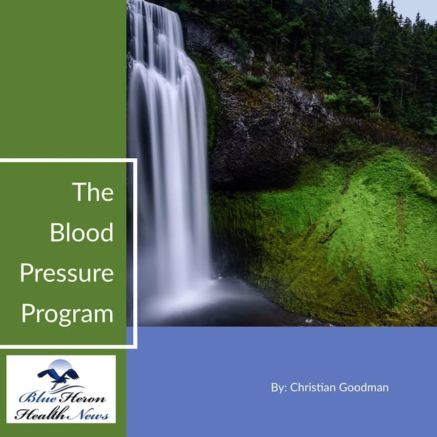 The Blood Pressure Program product image