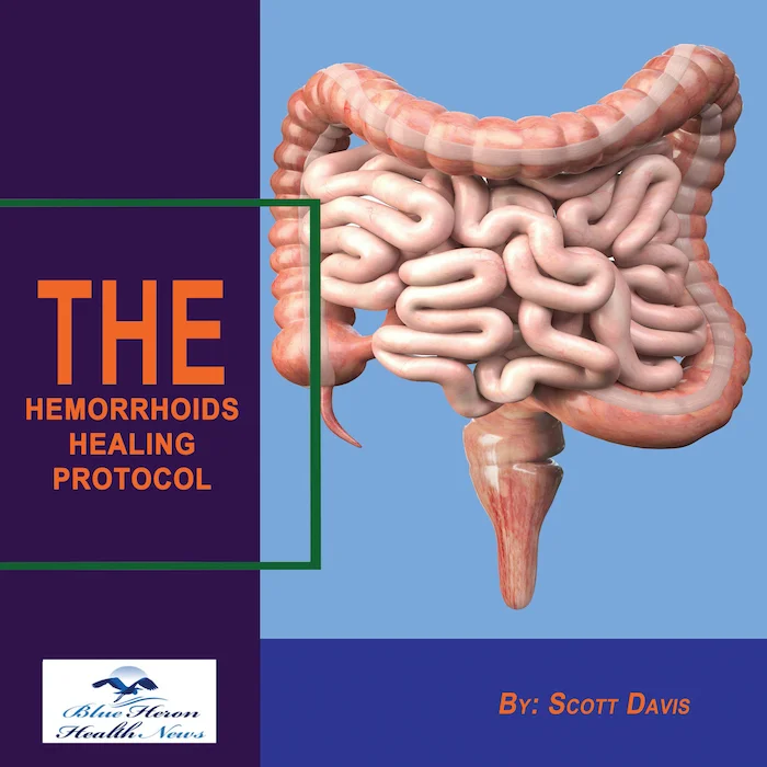 Hemorrhoids Healing Protocol product image