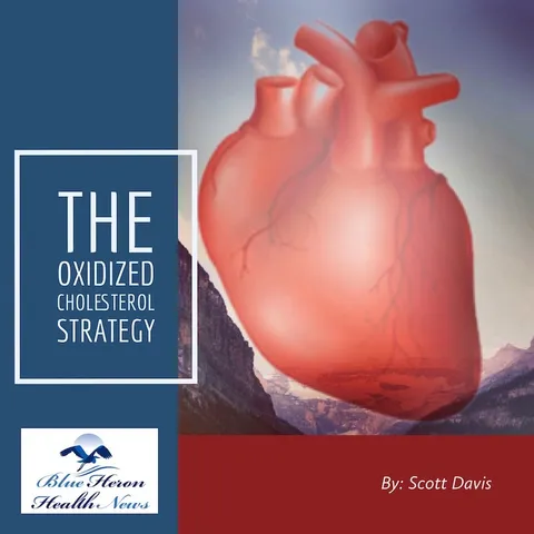 The Oxidized Cholesterol Strategy product image