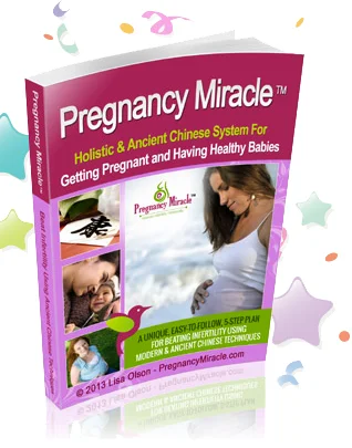 Pregnancy Miracle product image