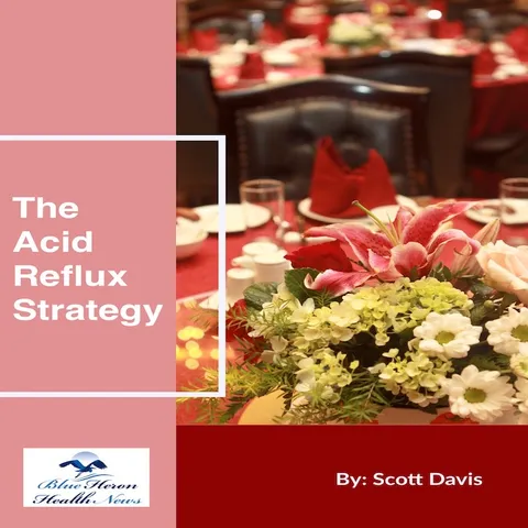 The Acid Reflux Strategy product image