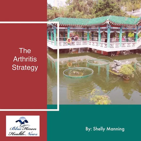 The Arthritis Strategy product image