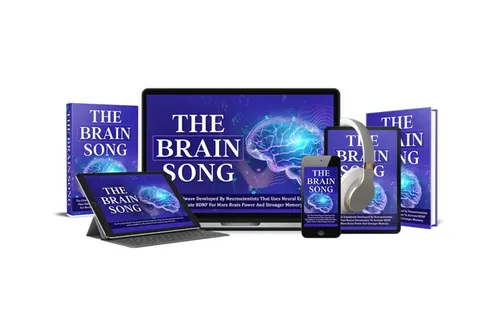 The Brain Song product image