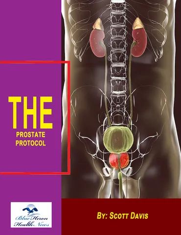 The Prostate Protocol (Blue Heron ebook) product image